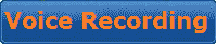 Record Voice