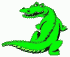 alligator