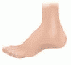 foot