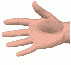 hand