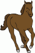 horse