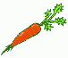 carrot