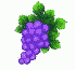 grapes