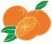 oranges