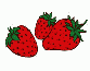 strawberries